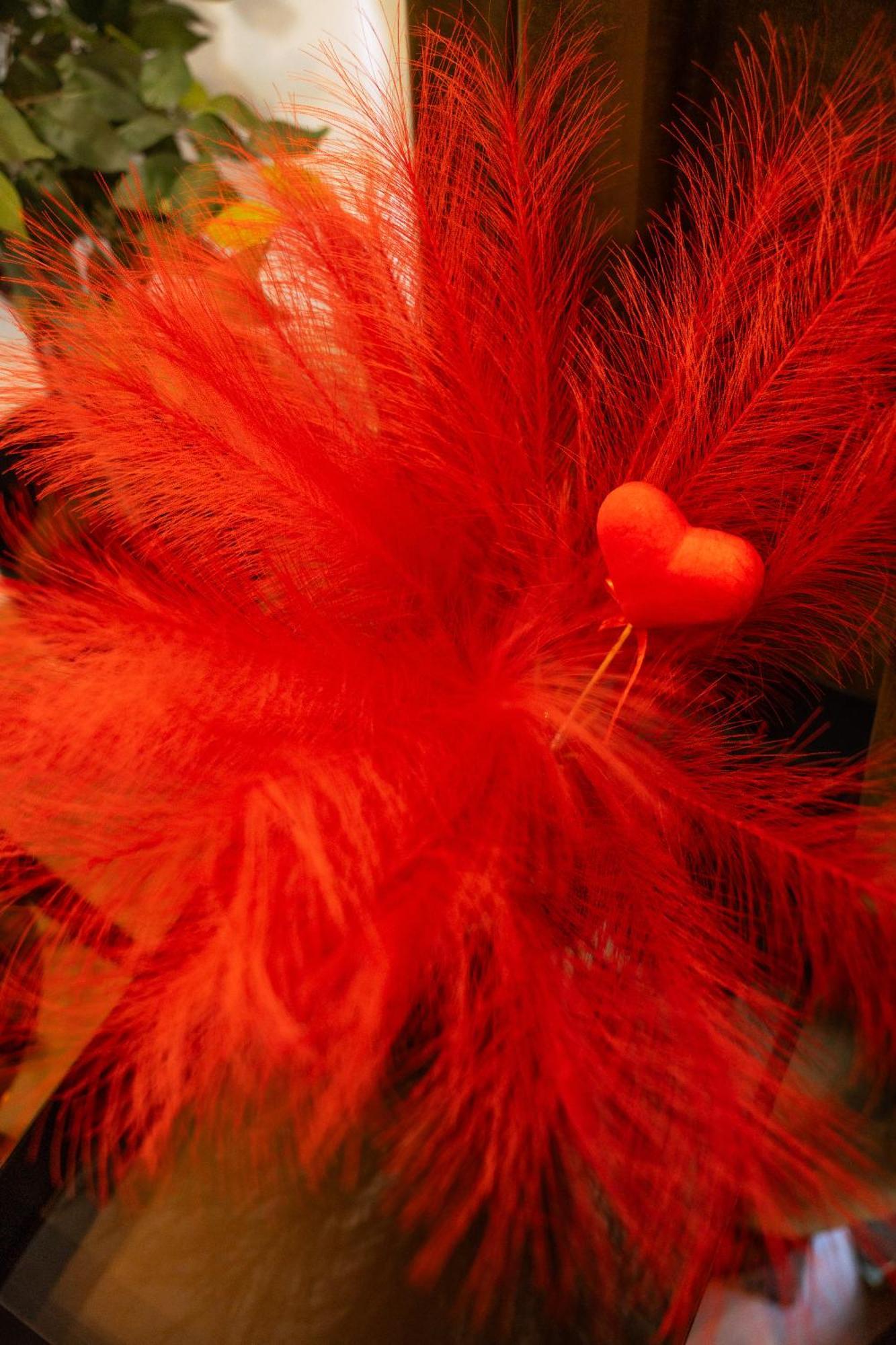 Love Room Casa Amore براديس المظهر الخارجي الصورة